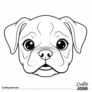 Kawaii boxer face closeup