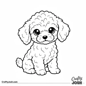 Kawaii miniature poodle puppy sitting