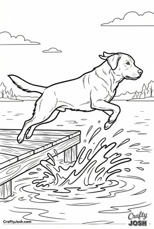Labrador dock jump