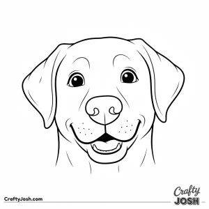 Labrador face close up