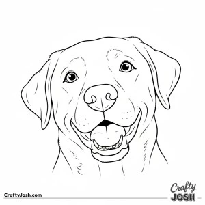 Labrador happy face close up