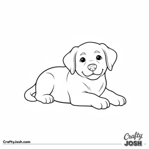 Labrador puppy lying down