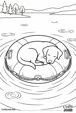 Labrador sleeping life ring