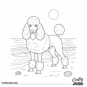 Miniature poodle at the beach