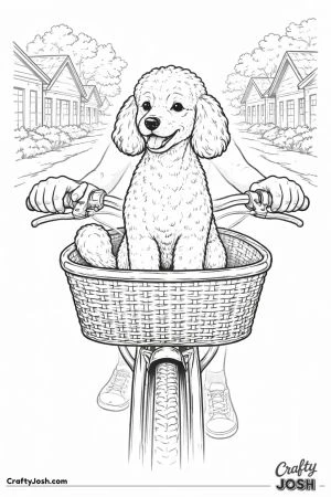 Miniature poodle bicycle basket