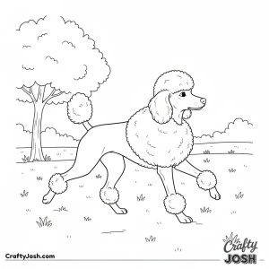 Miniature poodle summer park trot