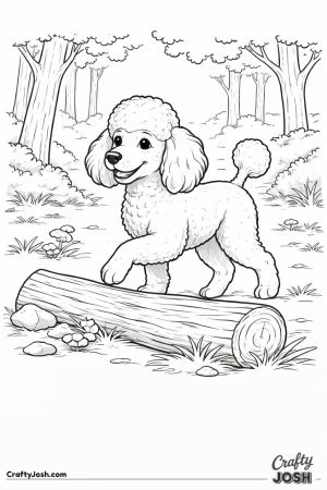 Miniature poodle woodland log