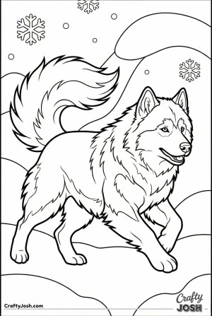 Playful malamute running through snow