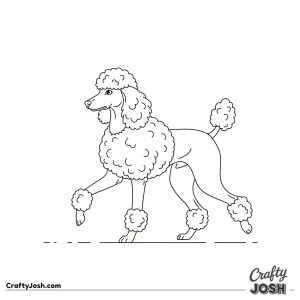 Playful poodle mid trot
