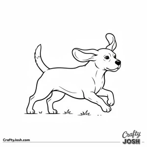 Playful running beagle