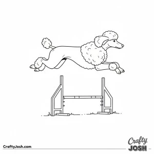 Poodle agility jump