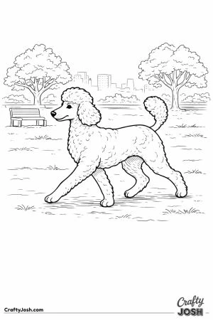 Poodle city park