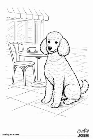 Poodle outdoor cafe