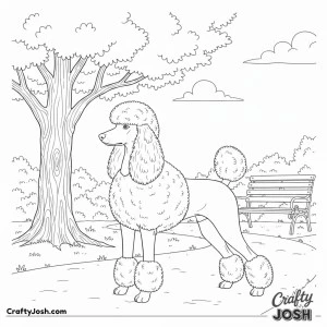 Premium park scene poodle