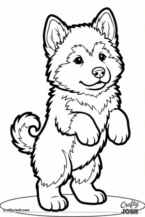 Proud standing malamute puppy