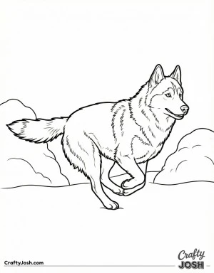 Running husky in snow