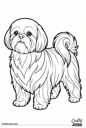 Shih tzu calm standing natural