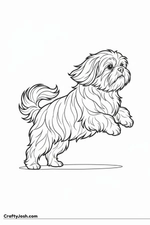 Shih tzu gentle jump