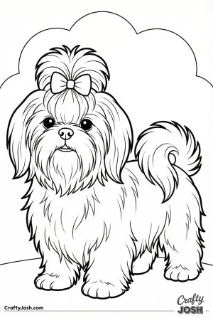 Shih tzu puppy play bow