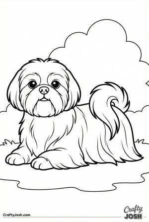 Shih tzu resting calmly