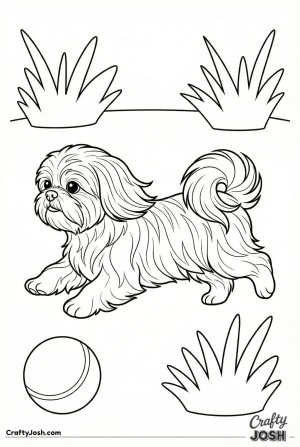 Shih tzu running playfully