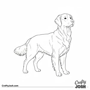 Simple standing golden retriever
