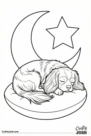 Sleeping curled cavalier