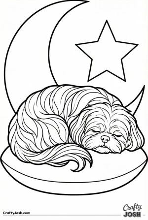 Sleeping curled shih tzu