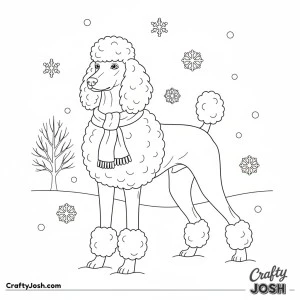 Winter poodle in snow