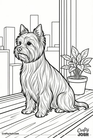 Yorkshire terrier apartment window