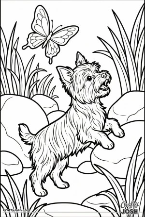 Yorkshire terrier barking butterfly