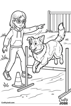 Australian shepherd agility jump training