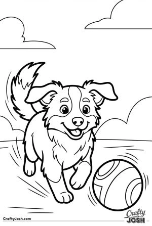 Australian shepherd puppy running with ball