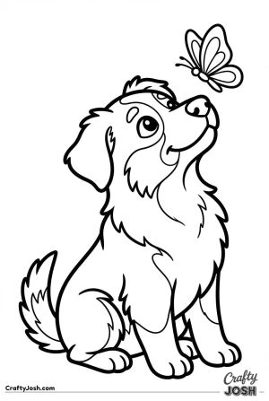 Australian shepherd puppy watching butterfly