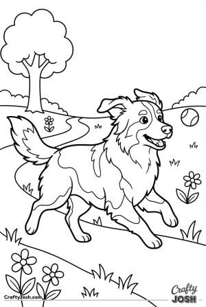 Australian shepherd running in park