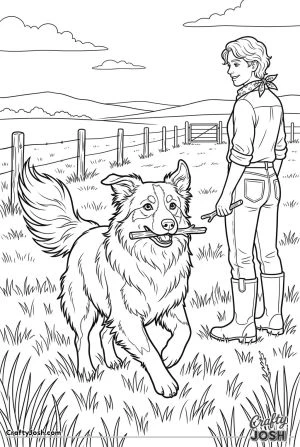 Australian shepherd running with stick on ranch