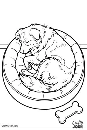 Australian shepherd sleeping on dog bed