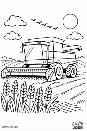 Combine harvester wheat field