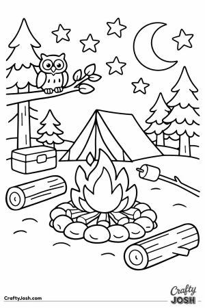 National park campfire night sky