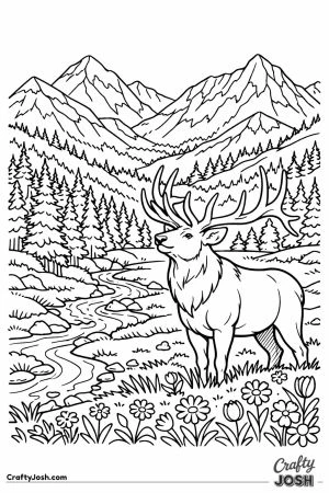 Rocky mountain panorama elk meadow