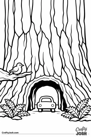 Sequoia trunk car driving through