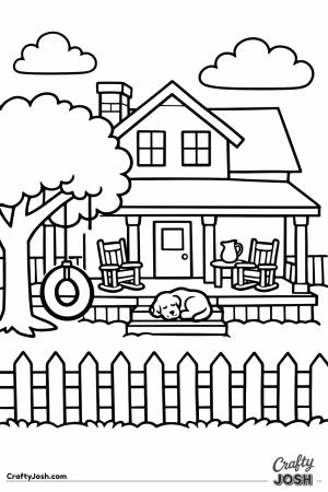 Southern farmhouse porch tire swing