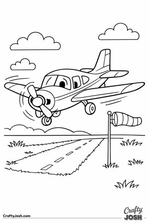 Cartoon plane landing grass strip