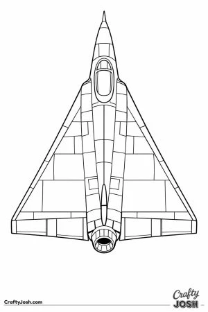 Fighter jet delta wing top down