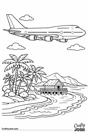 Jumbo jet over tropical island detailed