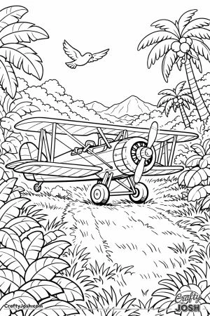 Biplane landing on a jungle airstrip