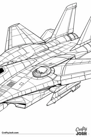 F 14 tomcat wing in mid sweep position close up
