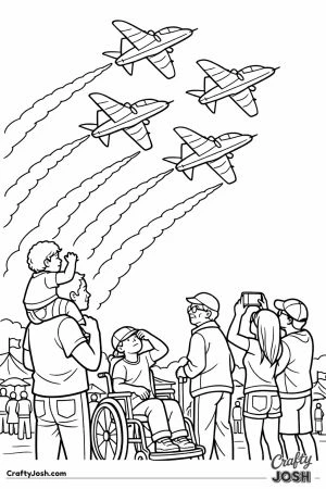 Hawk display jets airshow crowd
