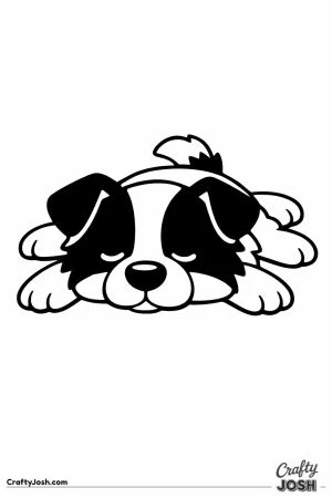 Border collie lying down with chin on the ground