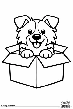 Border collie peeking out of a cardboard box